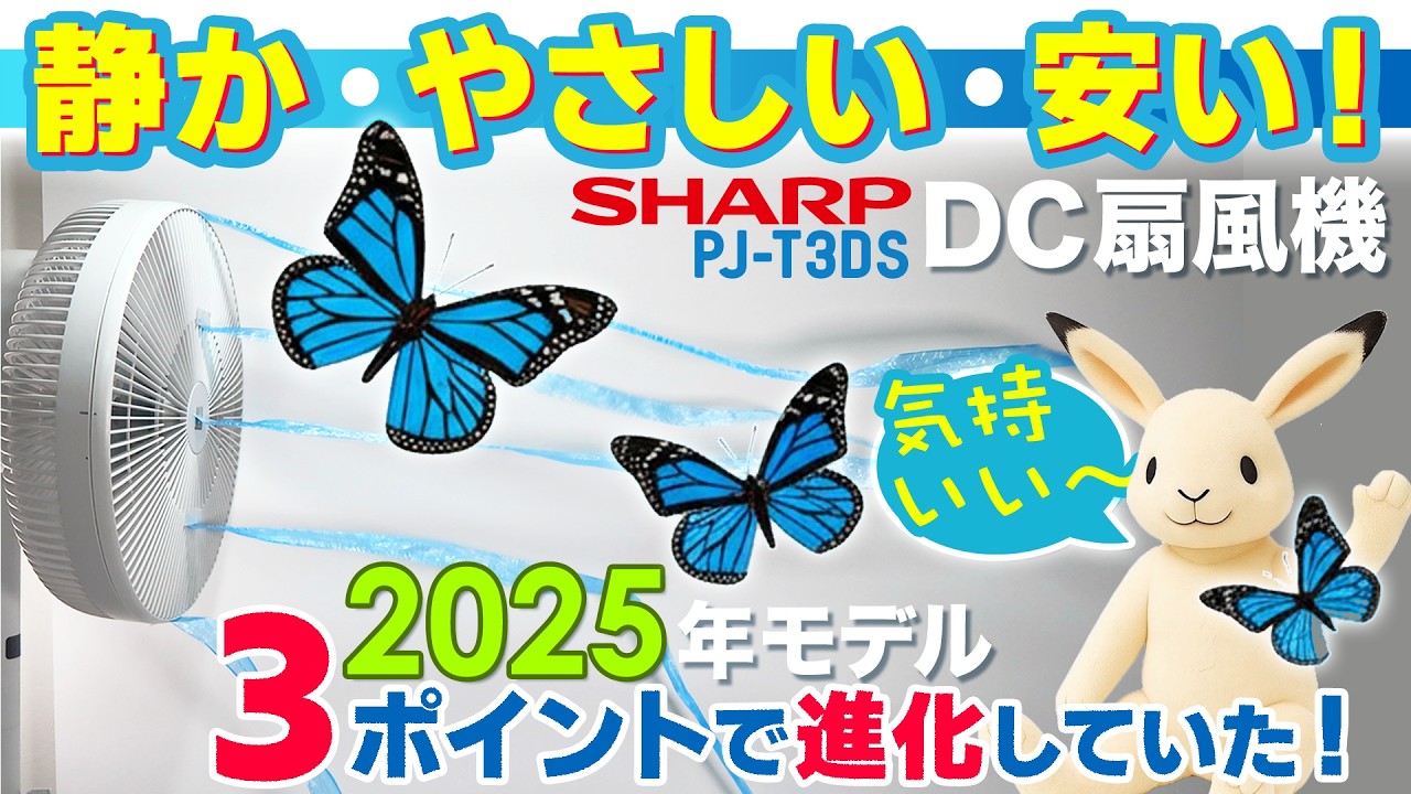 【2025年SHARP】ネイチャーウイングの風が見て分かる。最新扇風機徹底テスト＆レビュー【PJ-T3DS】