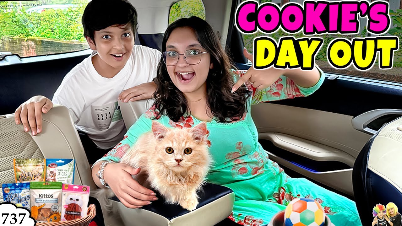 COOKIE's day out | Ep 737 | Full day in Car with Cookie | Life of a pet | Aayu and Pihu Show