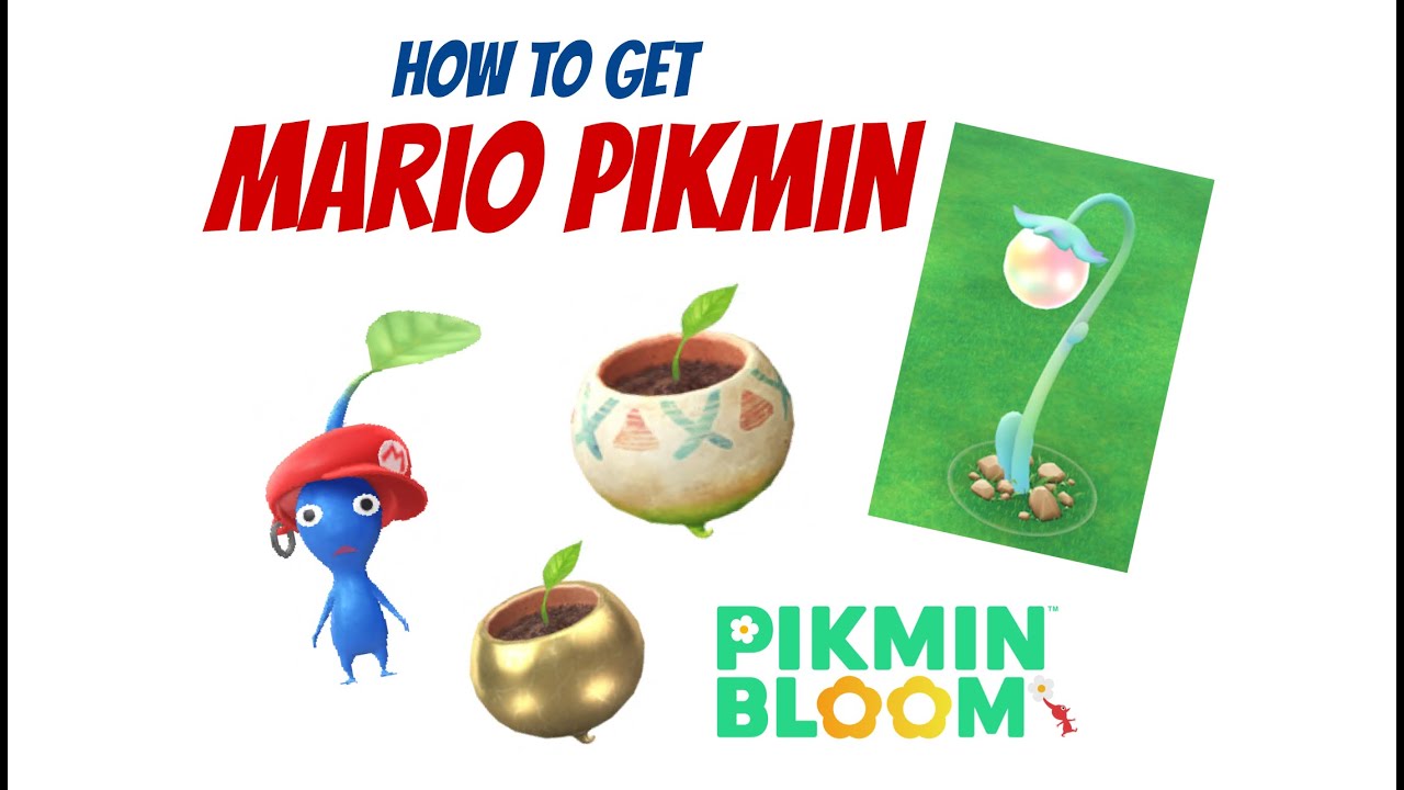 How to get a Mario Hat Pikmin in Pikmin Bloom [CC]