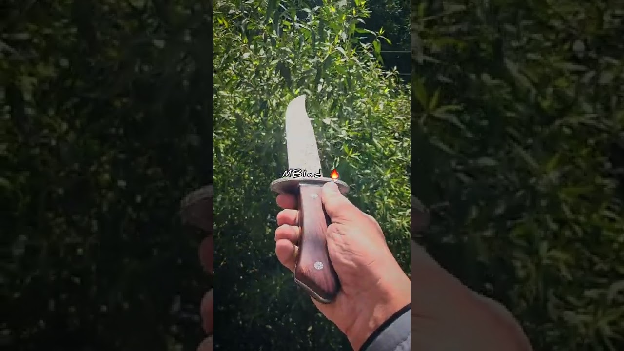D2 Steel Bowie 