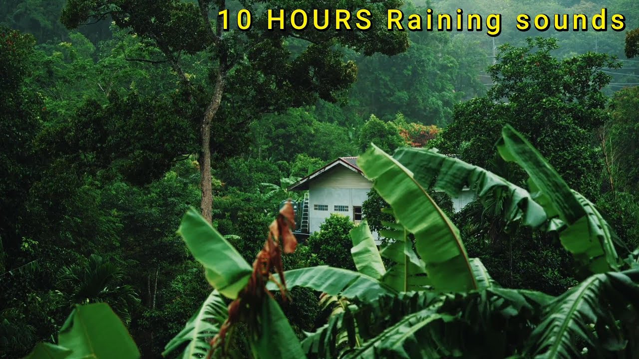 Rain sounds for sleeping 10 hours ⛈️   ASMR youtube