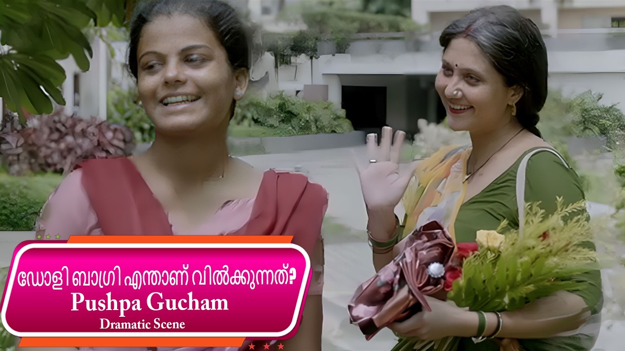 ഡോളി ബാഗ്രി എന്താണ് വിറ്റഴിക്കാൻ വന്നത്? |  PUSHPA GUCHAM scene | Malayalam Movie