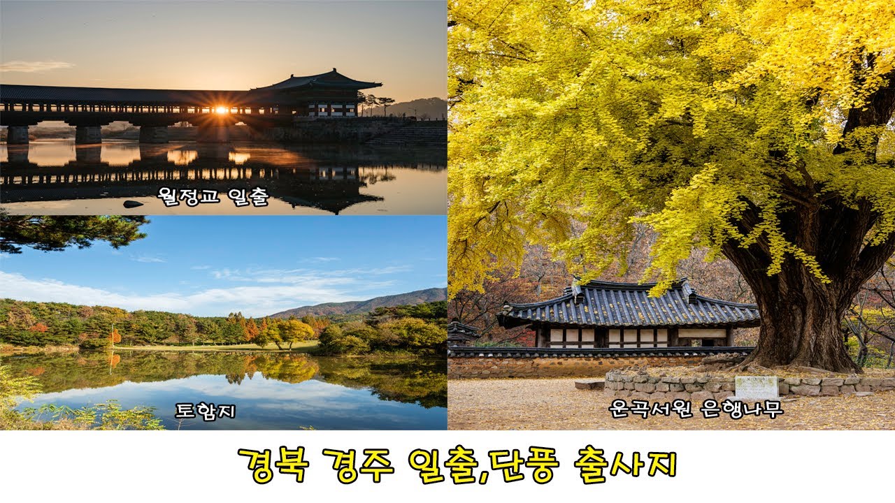 경북 일출,단풍출사지(경주 월정교,운곡서원,토함지)