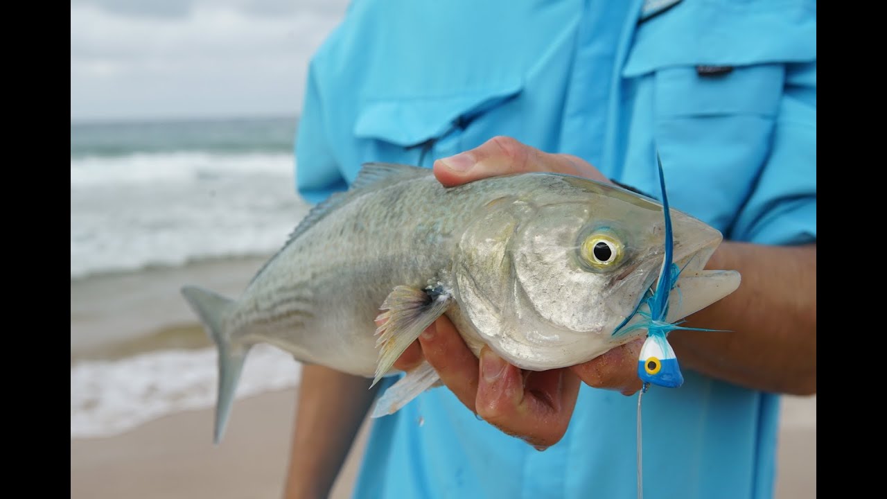 How to catch salmon off the beach
