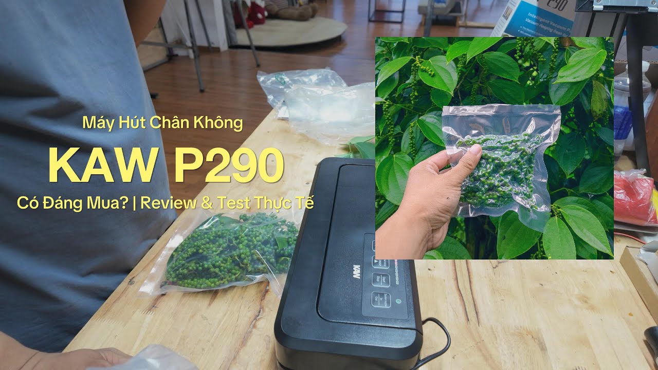 Máy Hút Chân Không KAW P290: Có Đáng Mua? | Review & Test Thực Tế