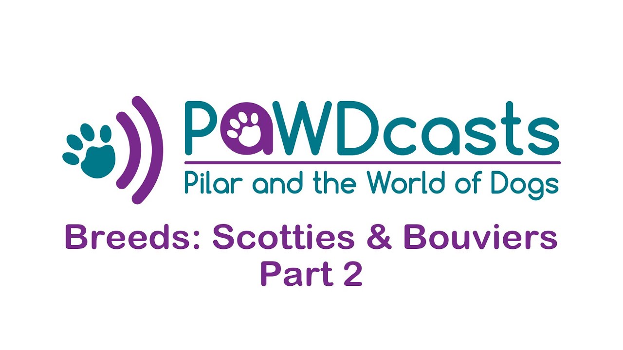 Breeds: Scotties and Bouviers - Part 2 - PAWDCasts: Pilar and the World of Dogs