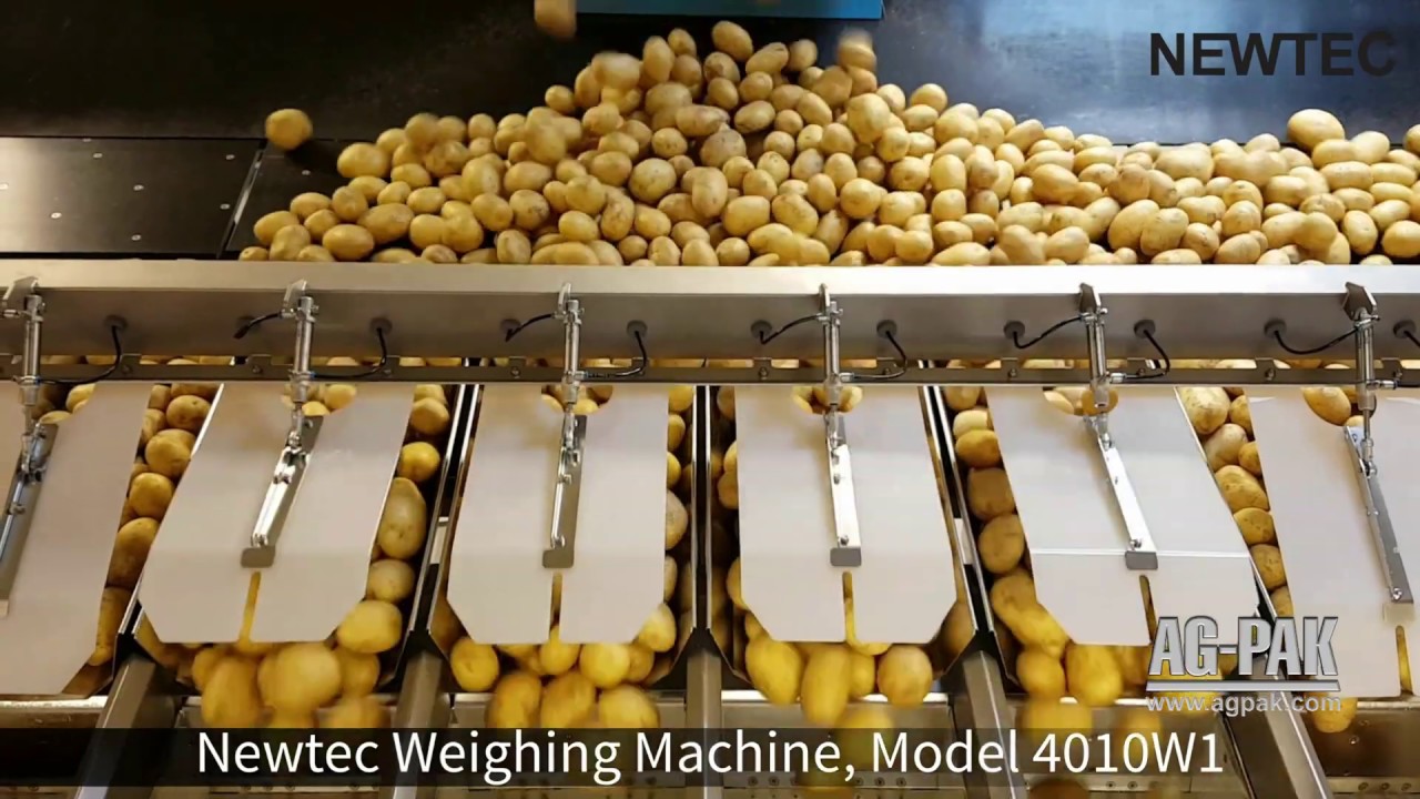 NEWTEC 4010W1 Bulk Weigher for Extremely Large Portions and Products