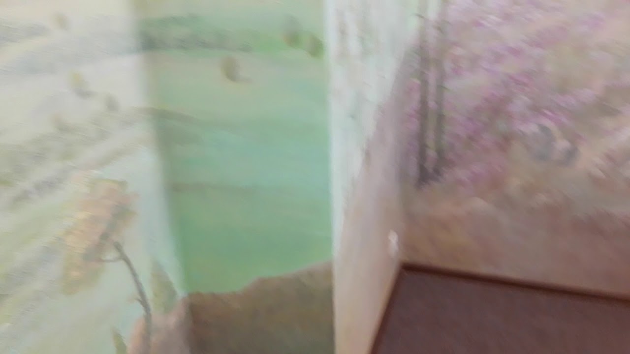 VIDEO 20171101 110112