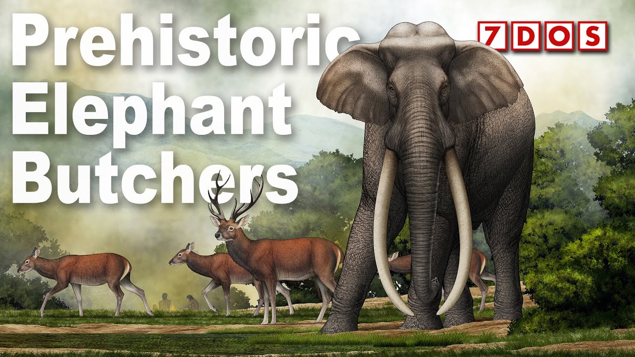 Ancient Humans Butchered Giant Elephants 300,000 Years Ago | 7 Days of Science