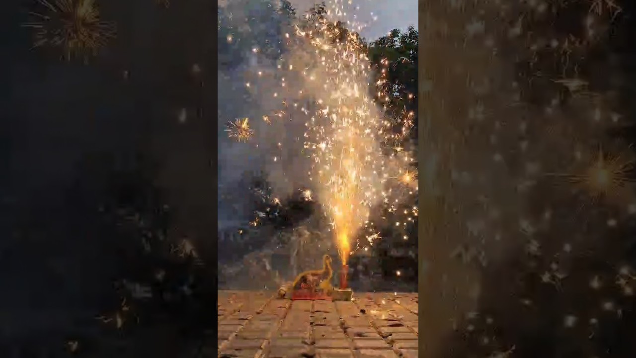 Diwali crackers Emu egg #viralshort #facts #diwali2024 #deepavalli #trendingshorts #rctraveltales