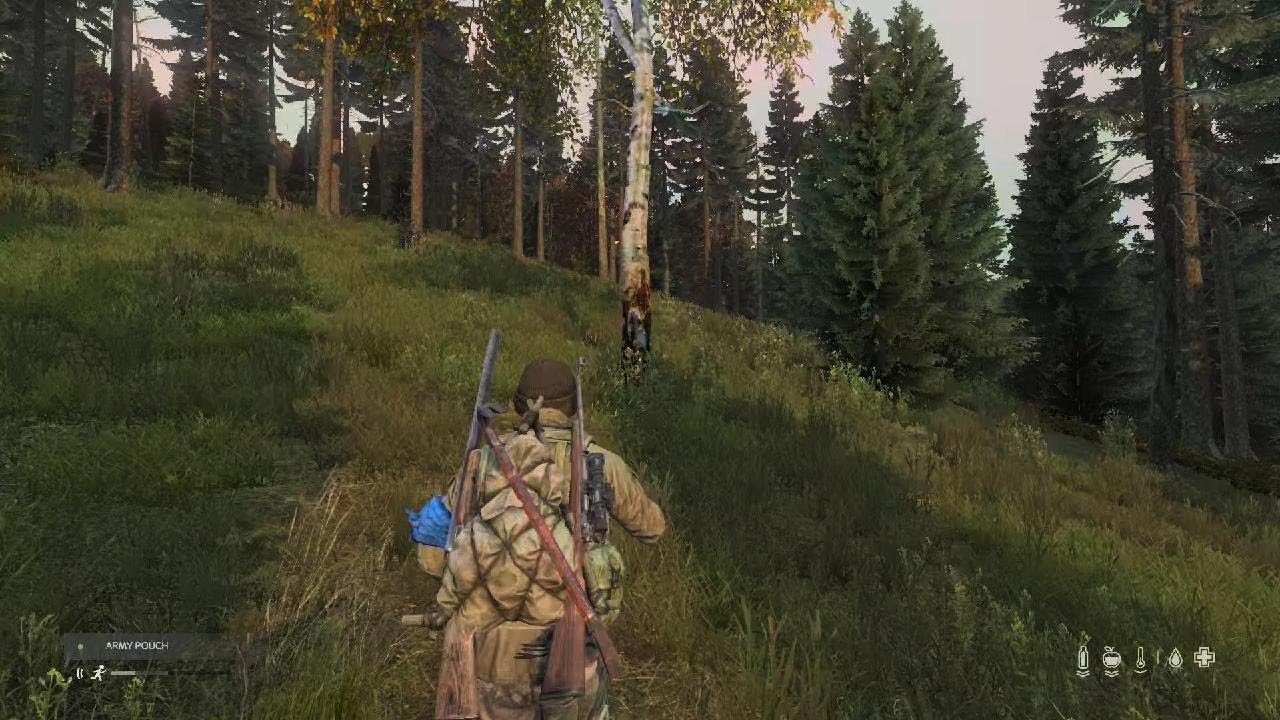 DayZ_20260110171910