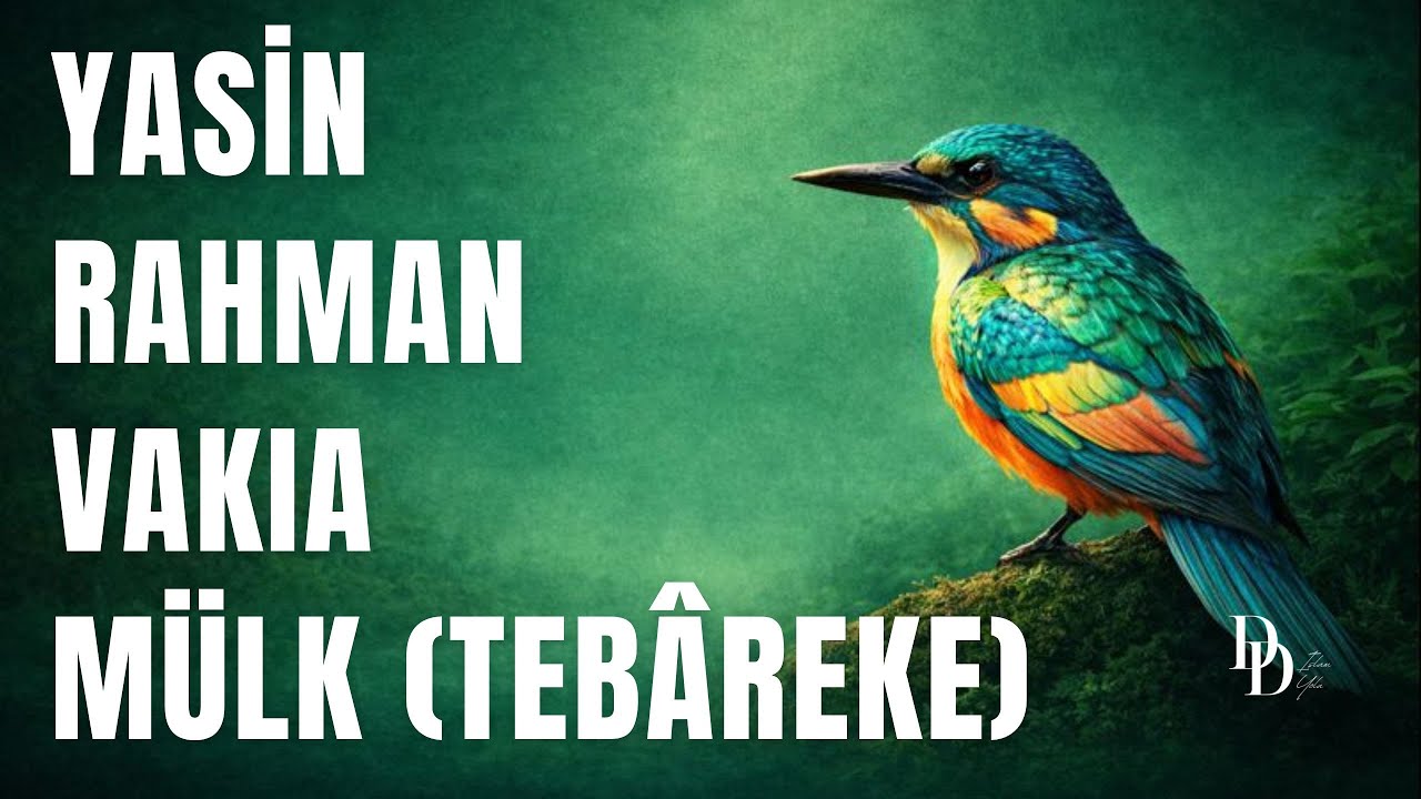 Yasin, Rahman, Vakıa ve Mülk Suresi | Kalbe Huzur Veren Kur’an Tilaveti