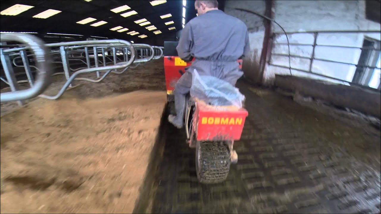 BOBMAN rabotage des vaches 2015  (gopro)