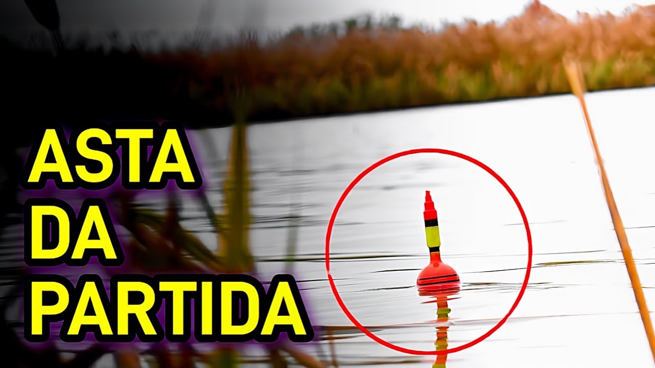VANATOARE DE STIUCA SALBATICA SI BIBANI MARI LA PESTISOR VIU