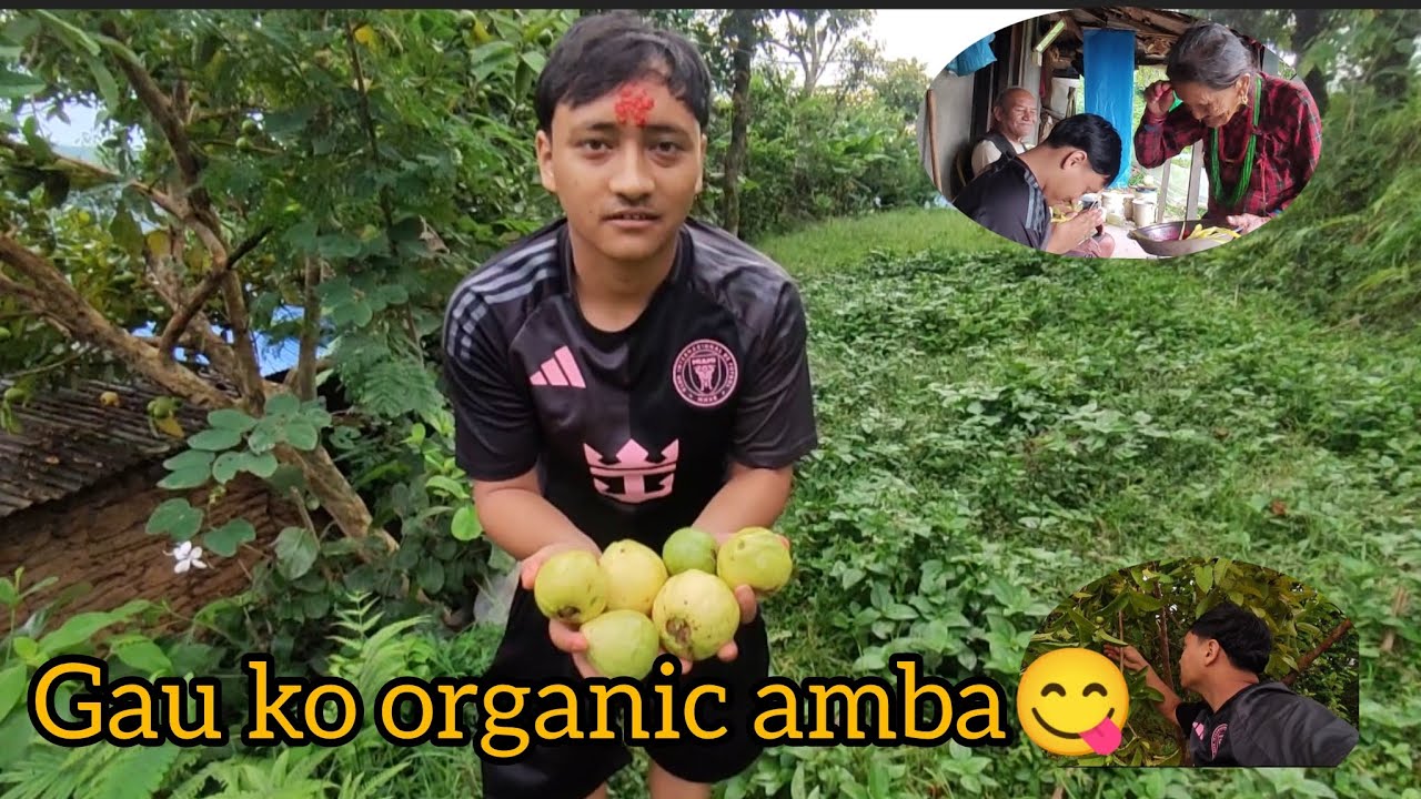 Gau ko organic amba 😋#goviral 