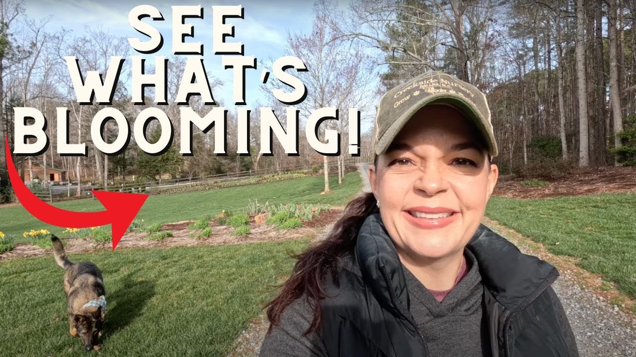 Leaping into March Garden Tour
