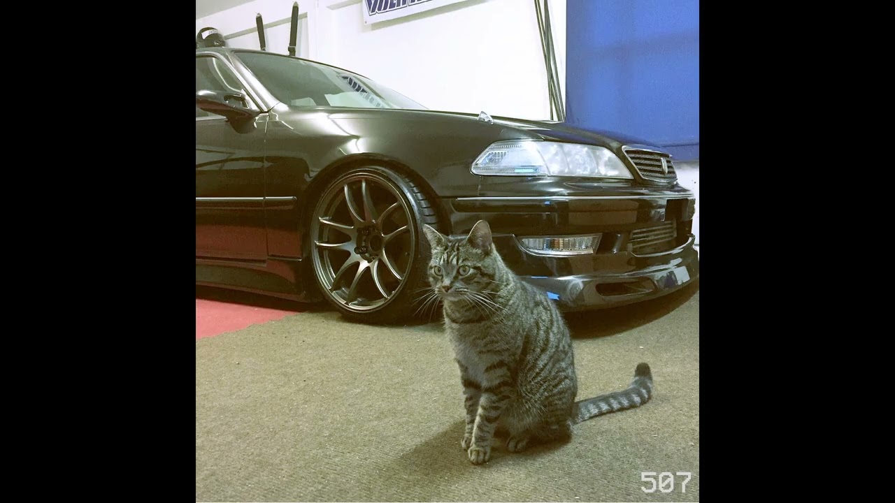 [FREE] CHILL PHONK TYPE BEAT 