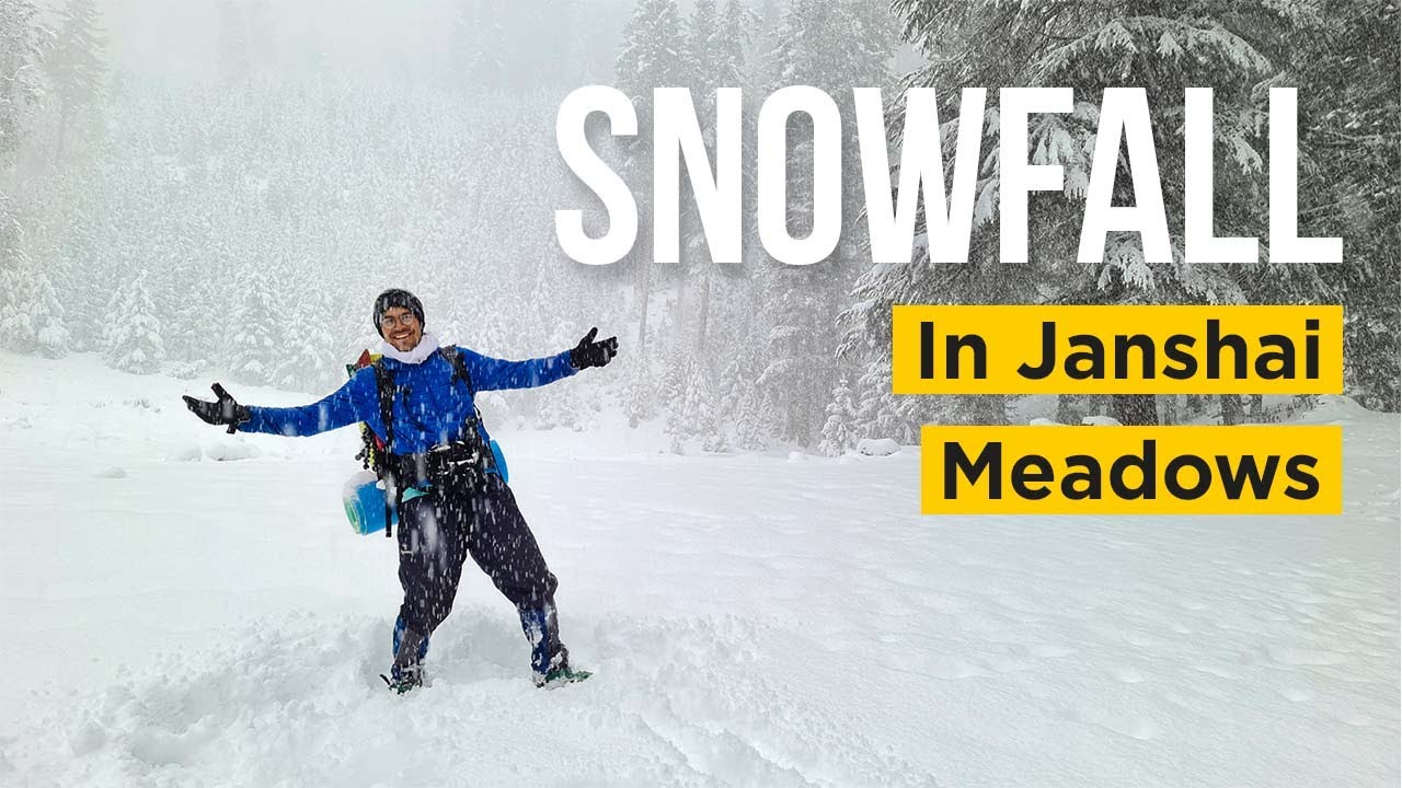 Three wolves and a snowy night at Janshai Meadows | Kalam
