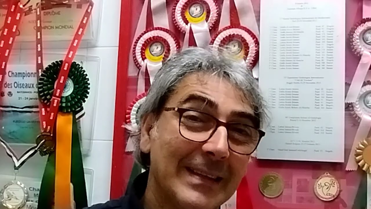 Come far vivere al meglio un canarino!!!