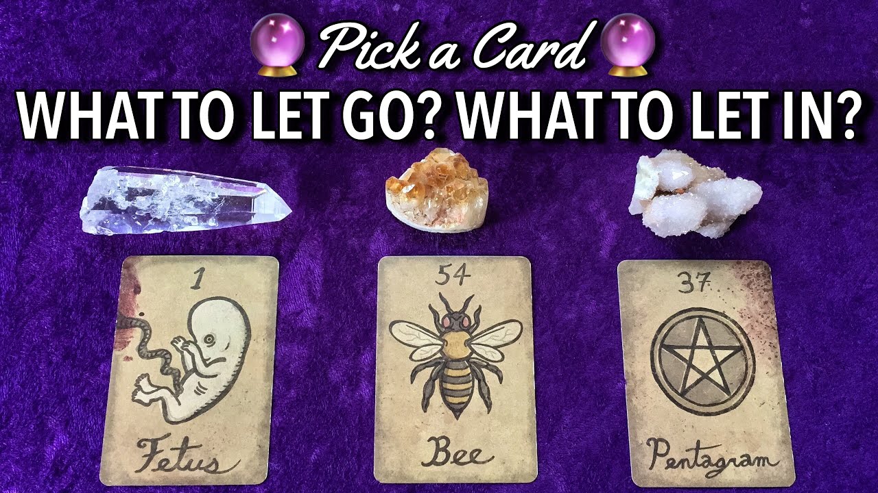 WHAT TO LET GO? WHAT TO EMBRACE?✨ PICK A CARD TAROT READING MEANT TO FIND YOU ✨