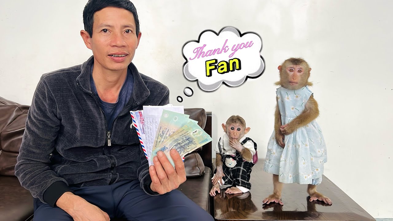 Monkey Tina and Xuka are very happy to receive gifts from fans and thank you very much.