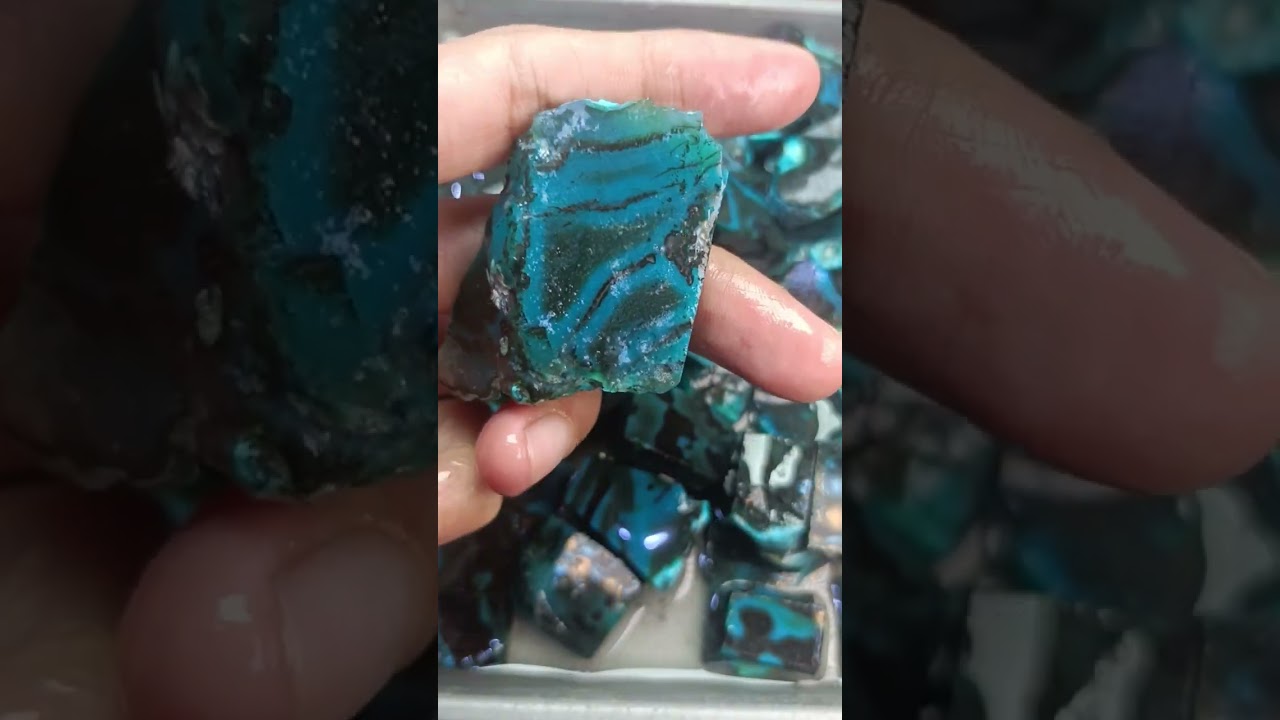 Bacan kotakan totol coklat bacok
