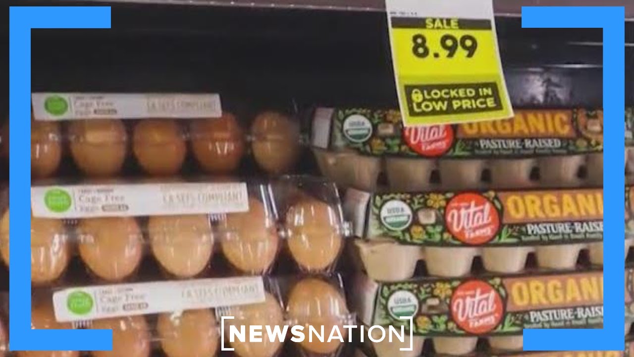 What is causing the price of eggs to rise? | Morning in America