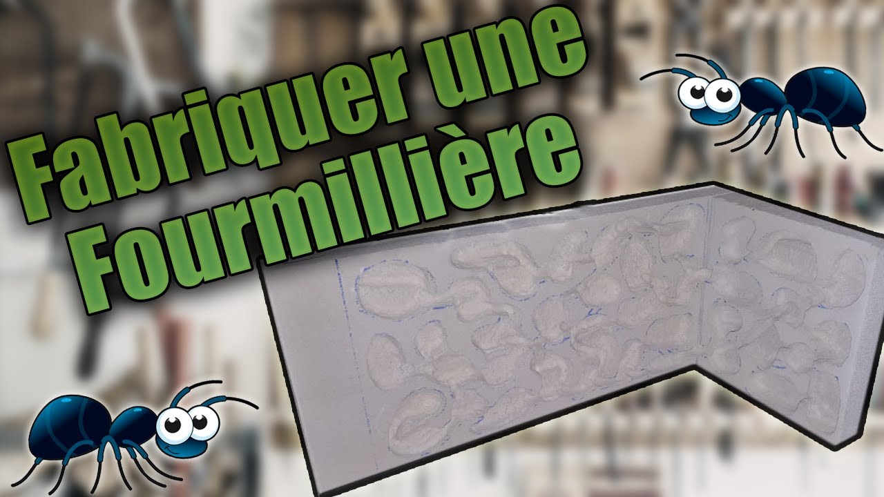 Une Fourmilière pour Messor Barbarus Part 1 - DIY