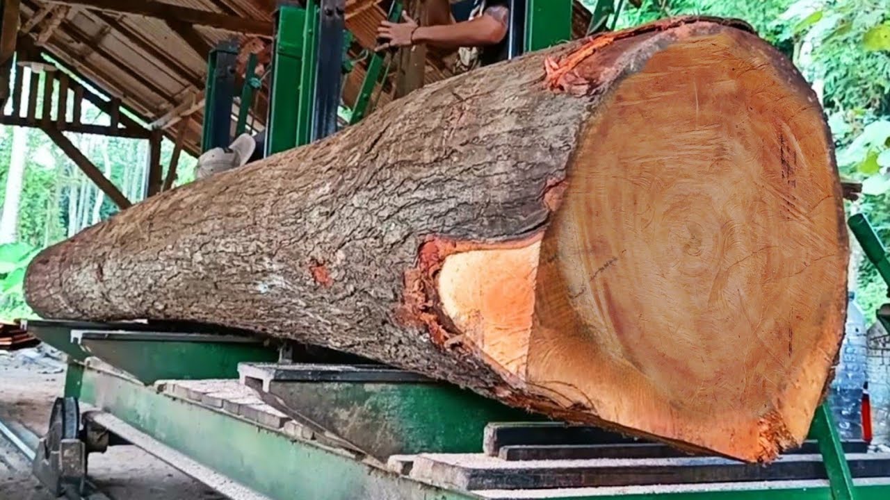 the extraordinary process of cutting old redwood logs at the sawmill 