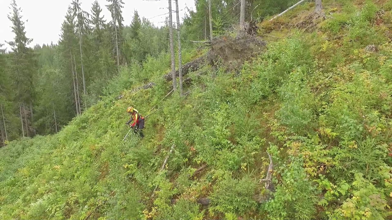 Ungskogpleie i bratt terreng