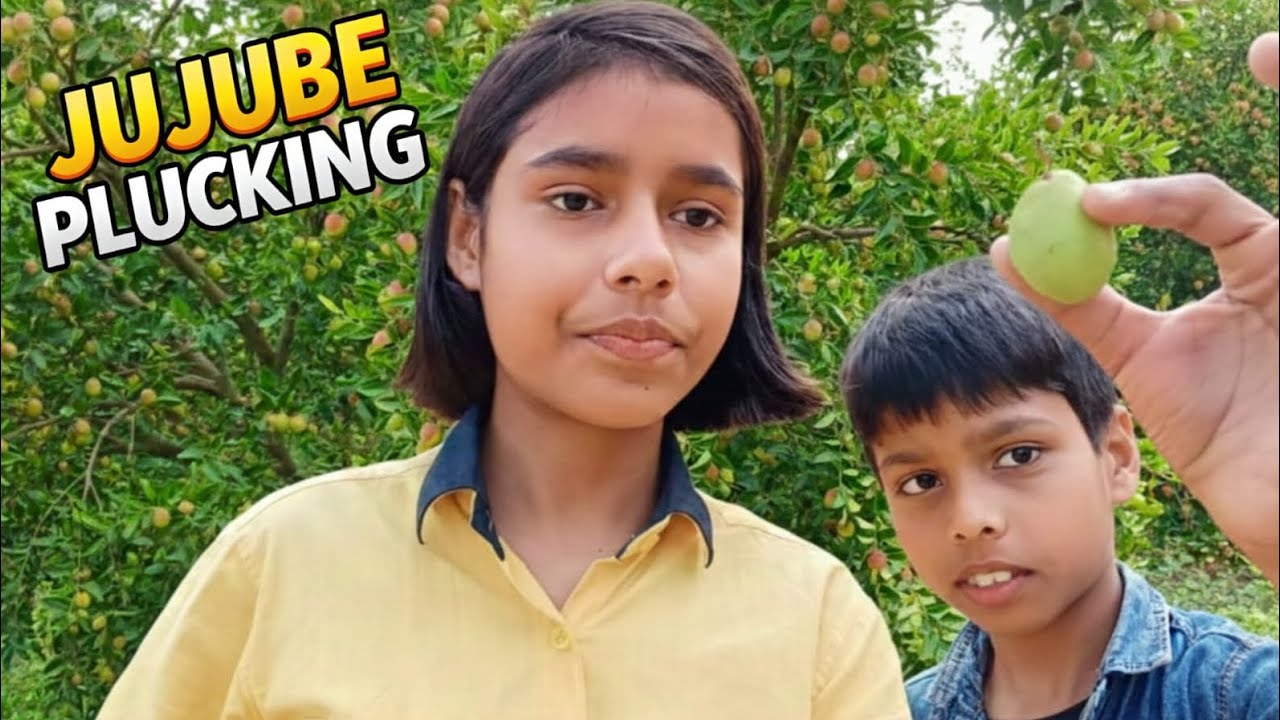 What is Bair (Indian Jujube)? | Fruit Picking Vlog | Apurva Yadav