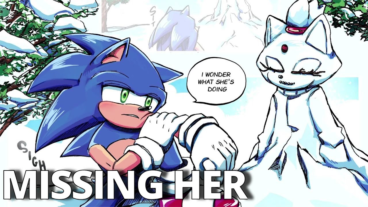 Sonic & Blaze Missing Each Other