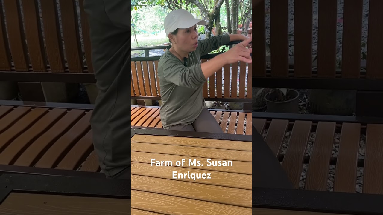 Farm of Ms. Susan Enriquez