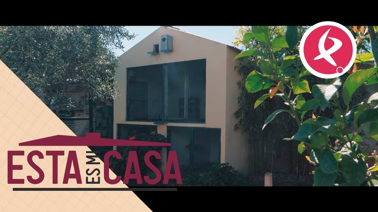 Esta casa tiene un aviario que es la envidia de los pajareros | Esta es mi casa