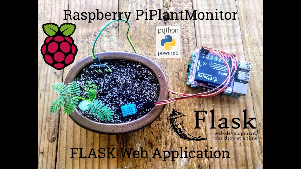 6 - FLASK Web App to interact with Database - Raspberry Pi Plant Monitor
