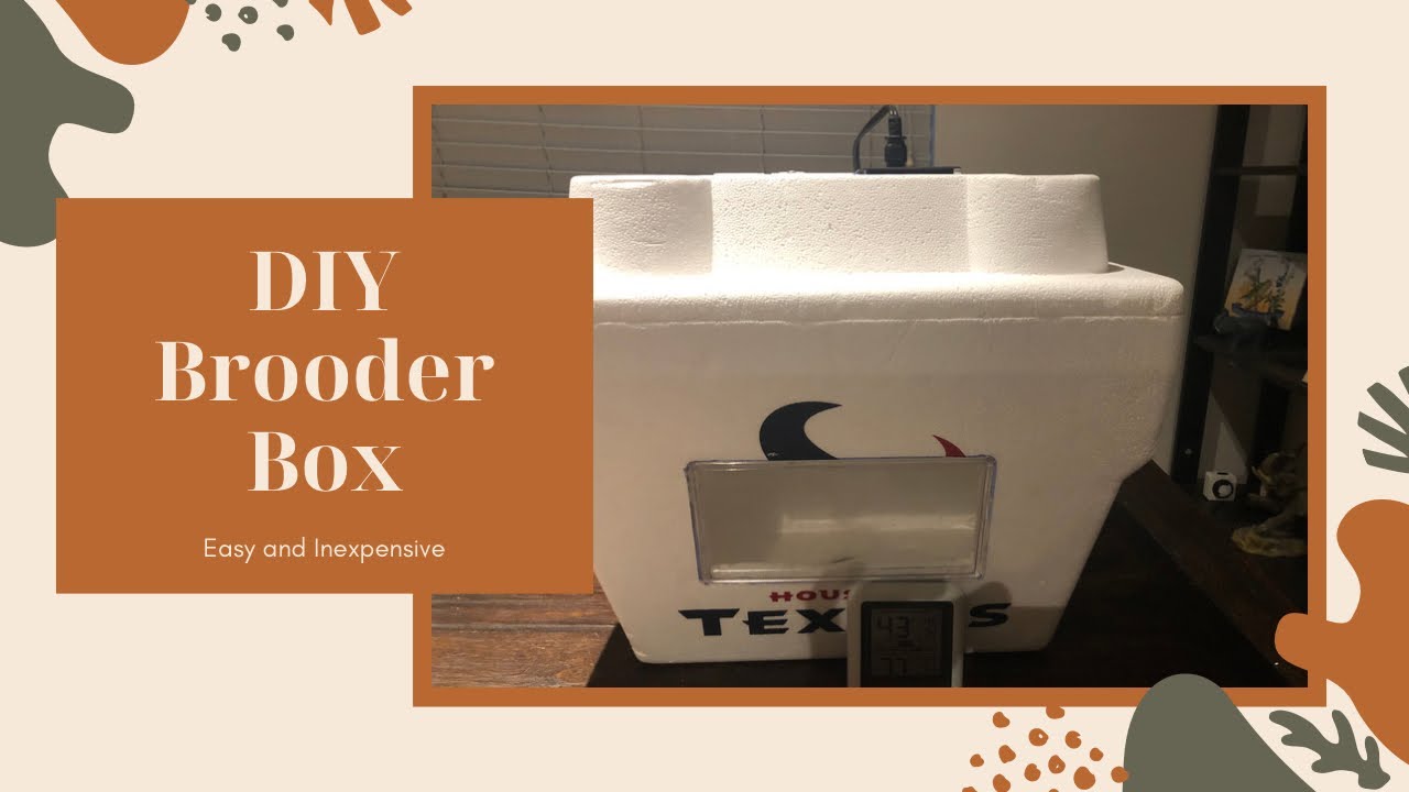 DIY Bird Brooder Box