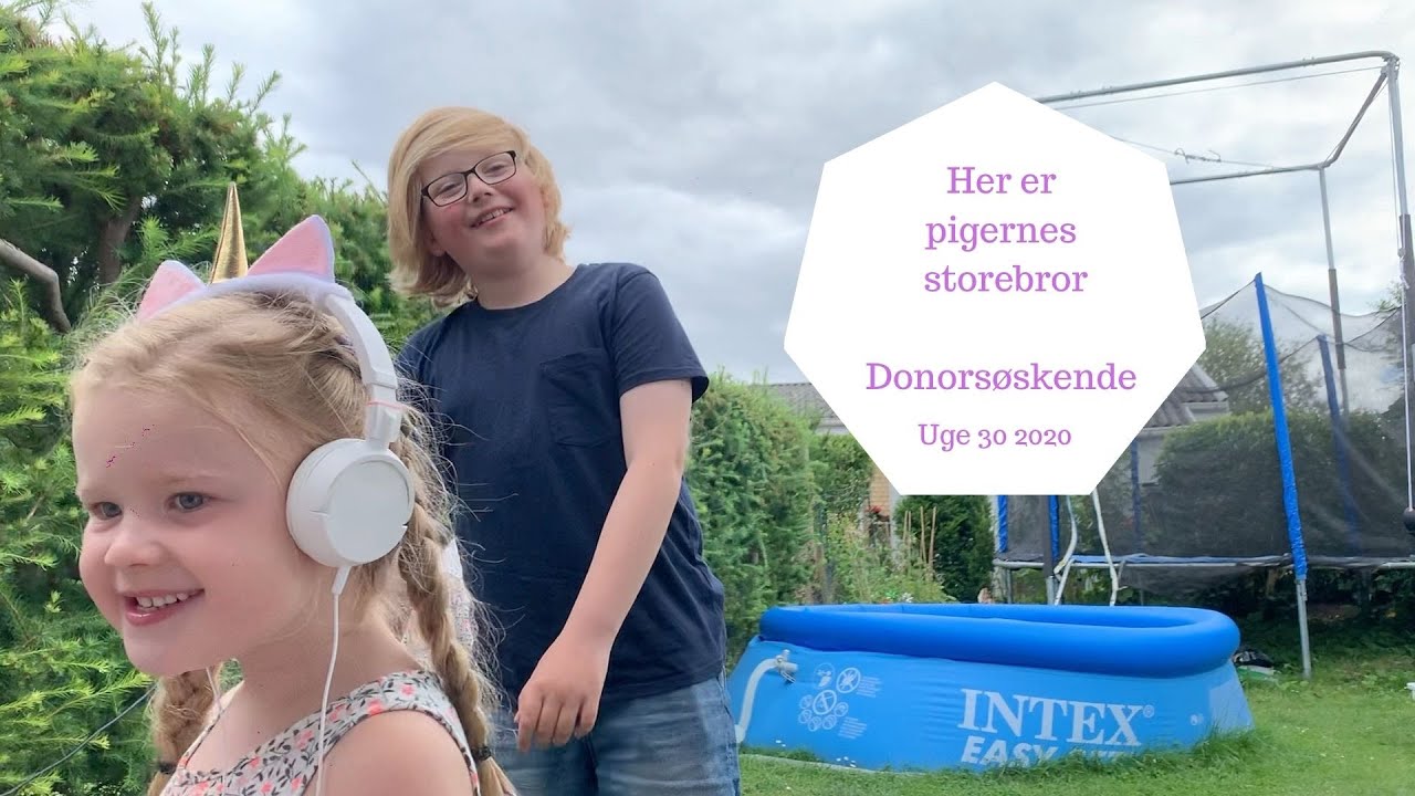 HER ER PIGERNES STOREBROR - DONORSØSKENDE MED FORSKELLIGE MØDRE