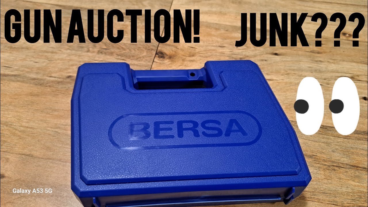 Gun Auction buys. Bersa Thunder 380 Auto! Good? Bad? Ugly?