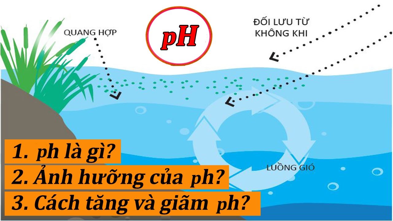pH LÀ GÌ? ẢNH HƯỠNG pH?, CÁCH TĂNG, GIẢM pH TRONG AO NUÔI CÁ, TÔM