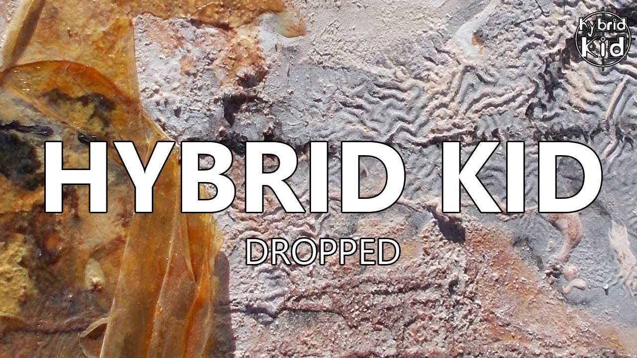Hybrid Kid - Dropped