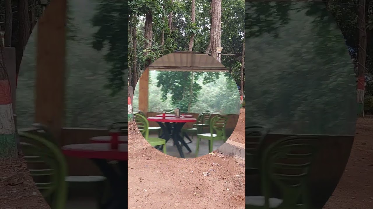 #Forest