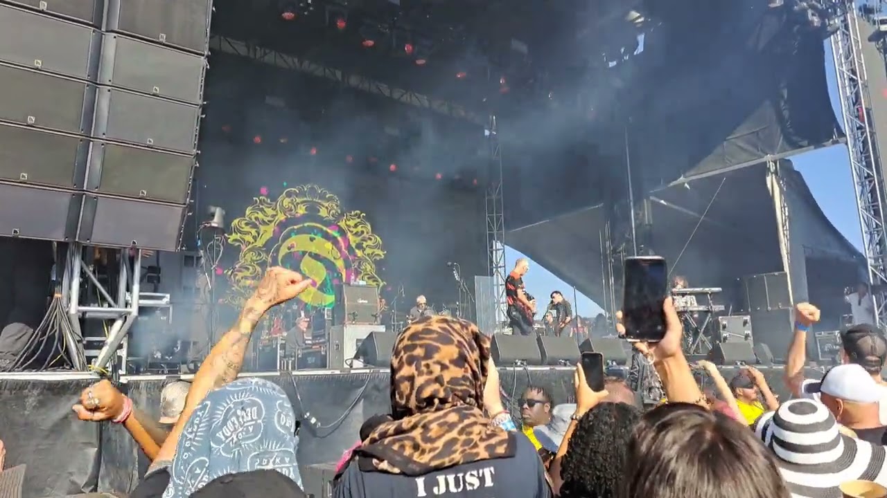 The Damned, New Rose, at No Values Festival 2024