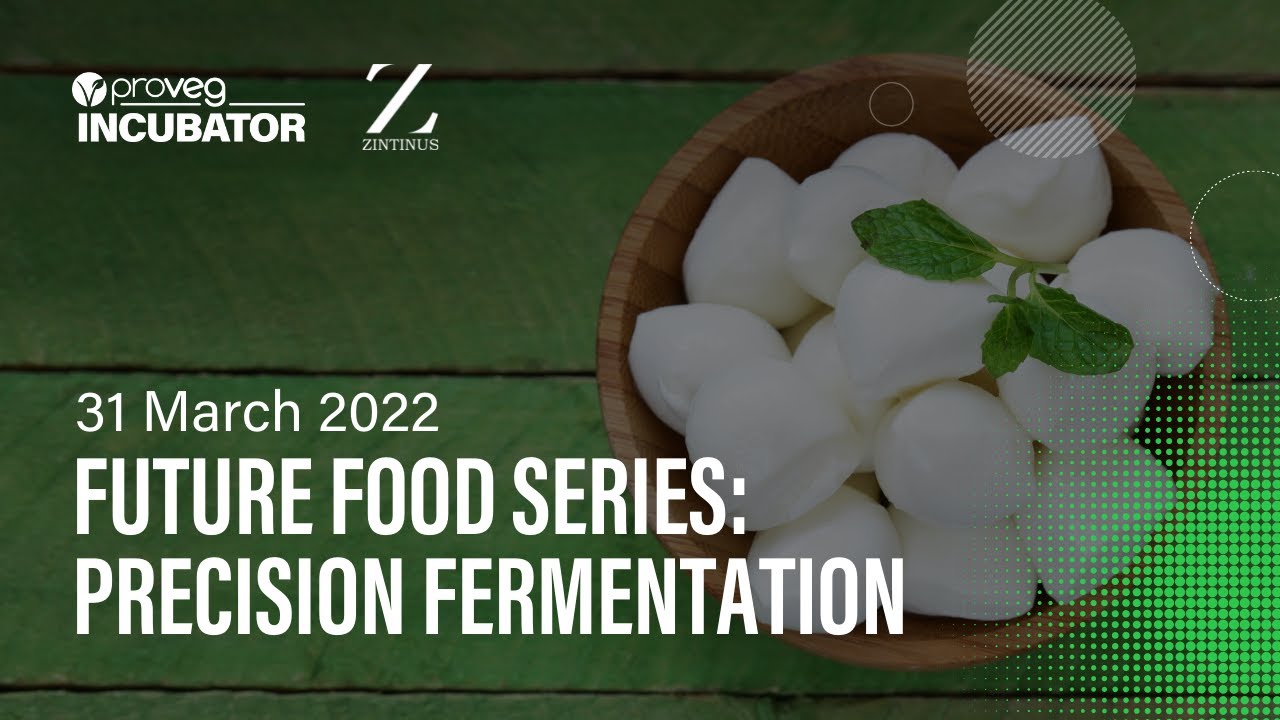 Future Food Series: PRECISION FERMENTATION Presented by ProVeg Incubator & Zintinus