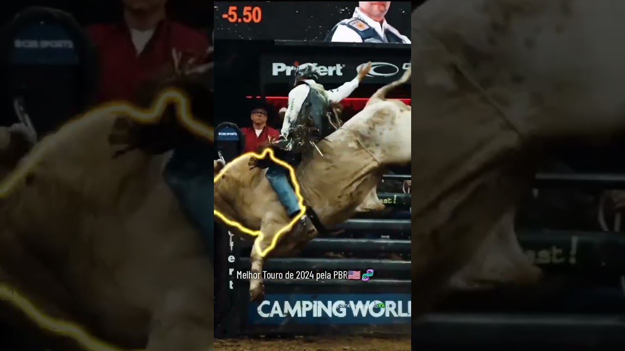 Melhor Touro 2024 pela PBR Man Hater