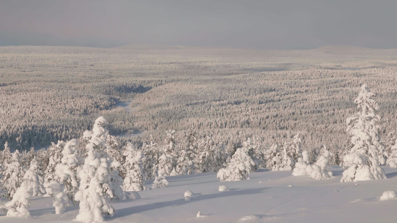 Winter in Lapland