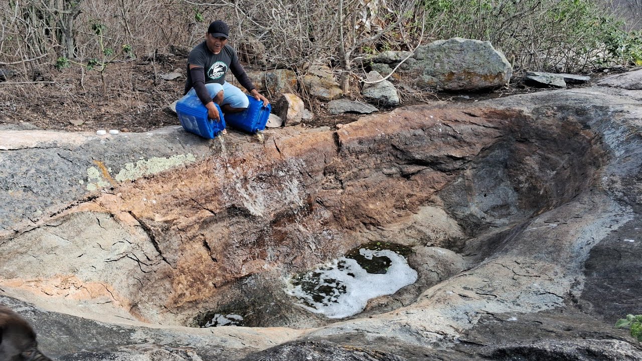 ELES LEVARAM MAIS ÁGUA PARA SALVAR A VIDA DOS PÁSSAROS  DA CAATINGA