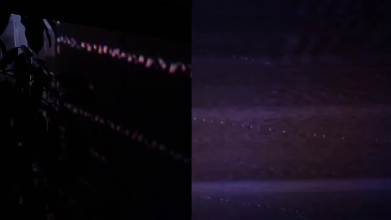 JUSTICE DER - CROOKED TREE (VISUALIZER)