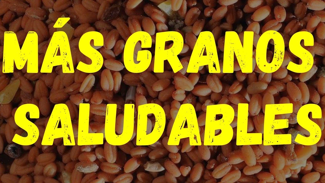 SEGUNDA PARTE SOBRE PROPIEDADES DE LAS SEMILLAS DE LA SALUD EN LA ALIMENTACIÓN DE LOS PÁJAROS.