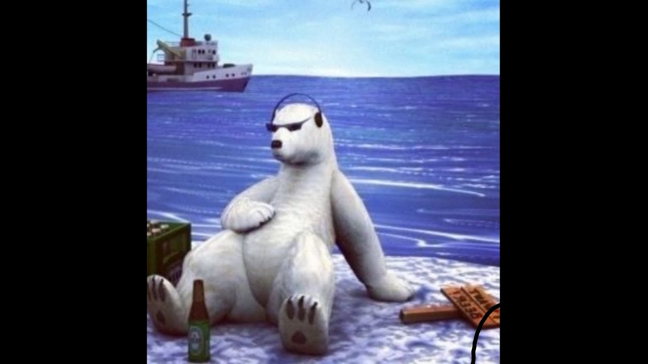funny and cute polar bears pictures compilation