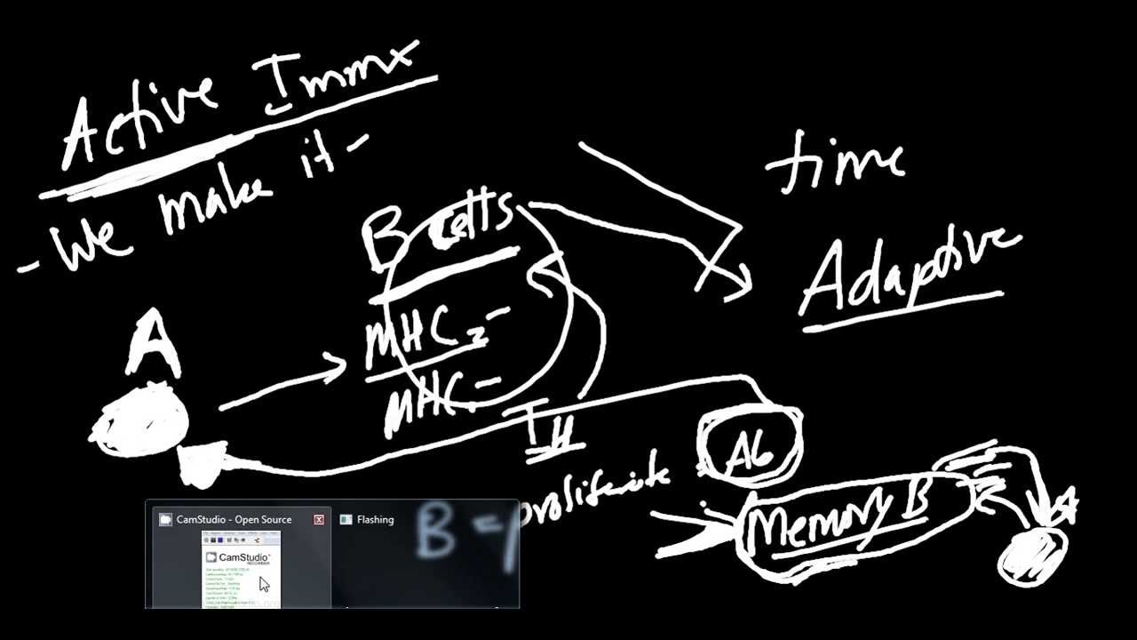 Passive and Active Immunity Made Simple!